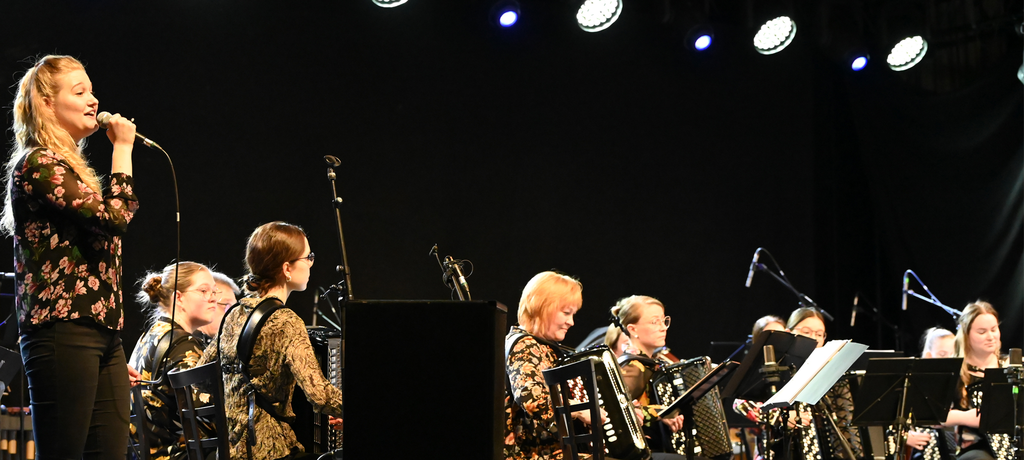 Harmonikkaorkestereiden ja -yhtyeiden SM-kilpailut