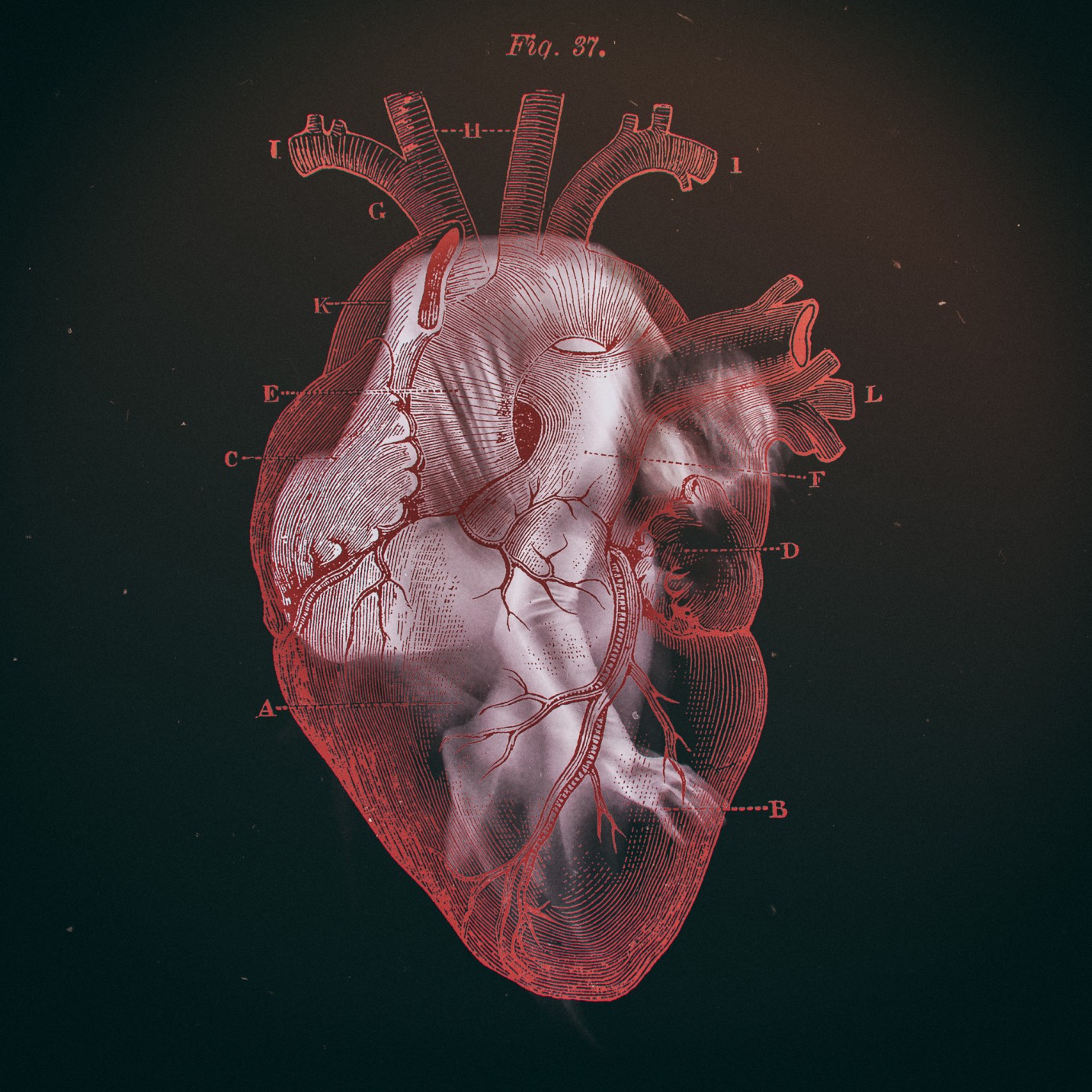 Iwaoka – Lehtovaara – Malkki: Dysmorphic