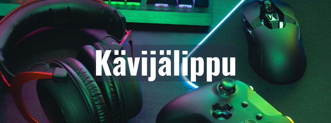 Skynett Langames Kävijälippu